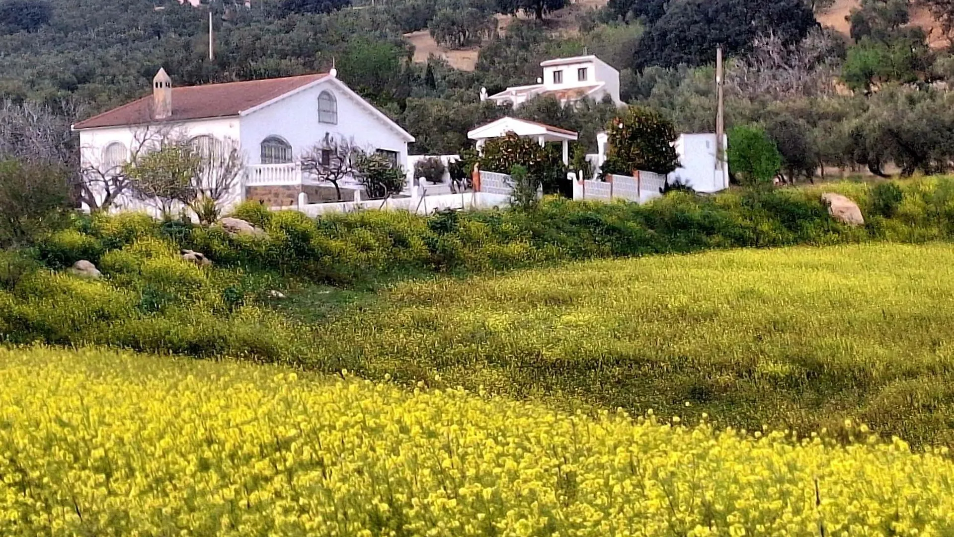 Aires De Gibalto Villa Malaga 0*,
